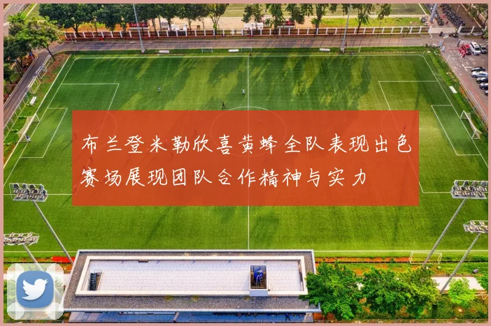布兰登米勒欣喜黄蜂全队表现出色赛场展现团队合作精神与实力