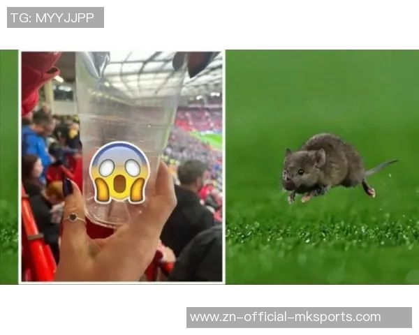 黑猫桑德兰球迷在老特拉福德成功捕鼠引发热议